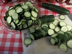 Mature slicing type cucumbers ready for the simple brine pickle recipe!